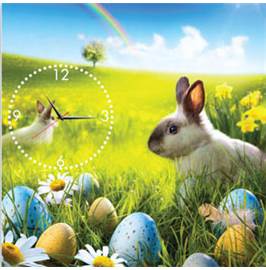 Chú Thỏ Trên Đồng Xanh