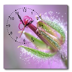 Đồng hồ tranh Hoa Dyvina 1T4040-98