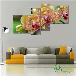 Đồng Hồ Tranh Dyvina 4T-45 Lan hồ điệp